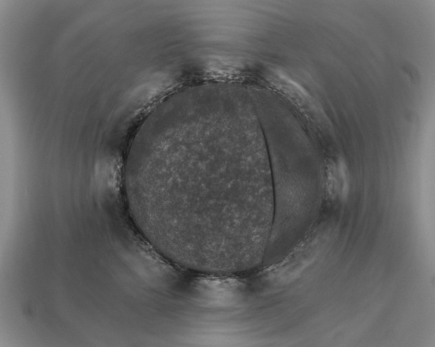 X0000113270712200909241543