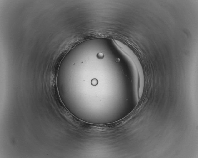 X0000113270713200909241543