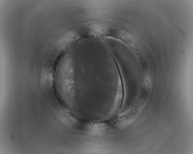 X0000113270716200909241543