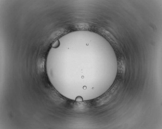 X0000113270717200909241543