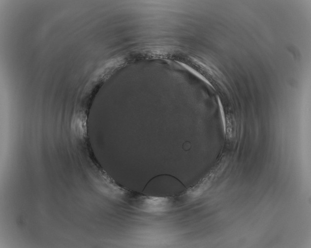 X0000113270718200909241543