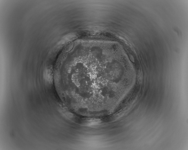 X0000113270719200909241543