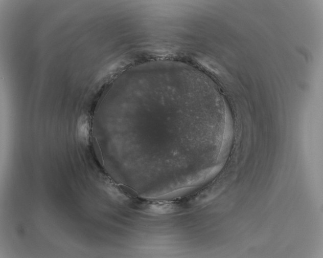 X0000113270720200909241543