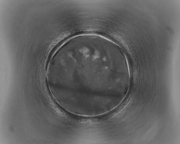 X0000113270721200909241542