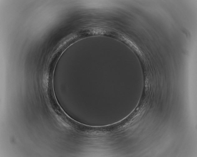 X0000113270722200909241542
