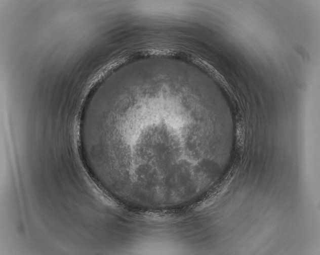 X0000113270725200909241542