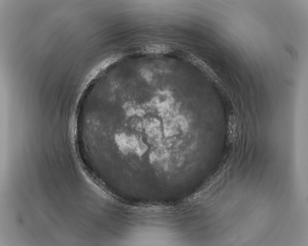 X0000113270726200909241542