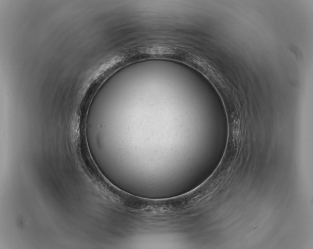 X0000113270727200909241542