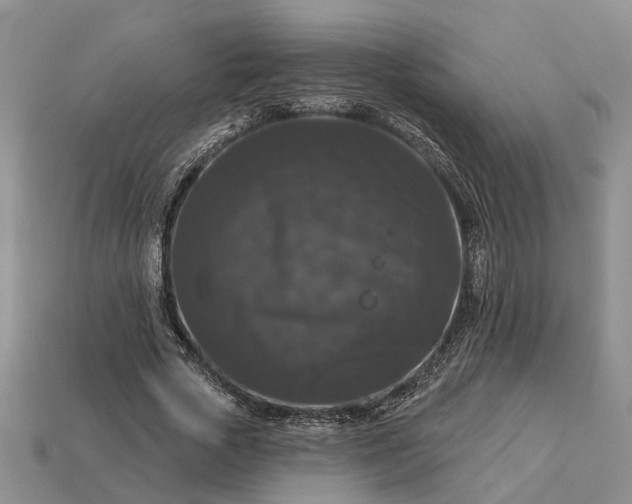 X0000113270729200909241542
