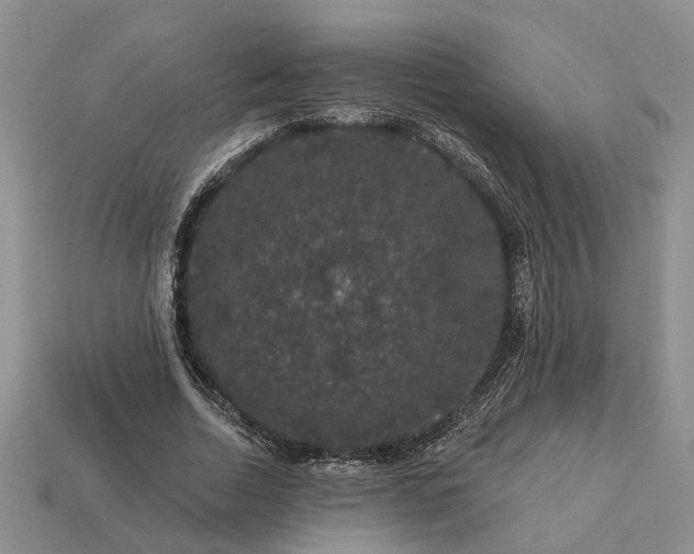 X0000113270730200909241542