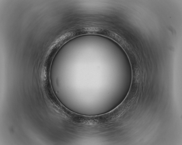 X0000113270731200909241542