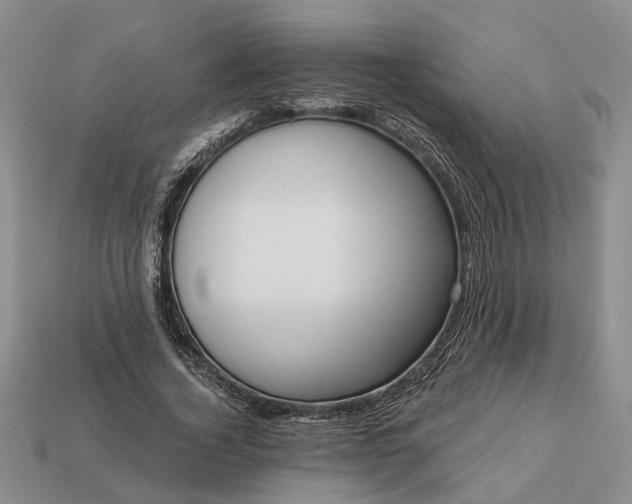 X0000113270732200909241542