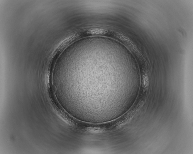 X0000113270733200909241542
