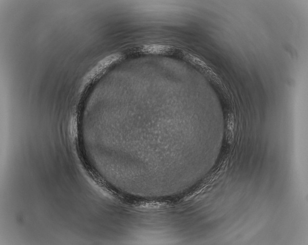 X0000113270734200909241542