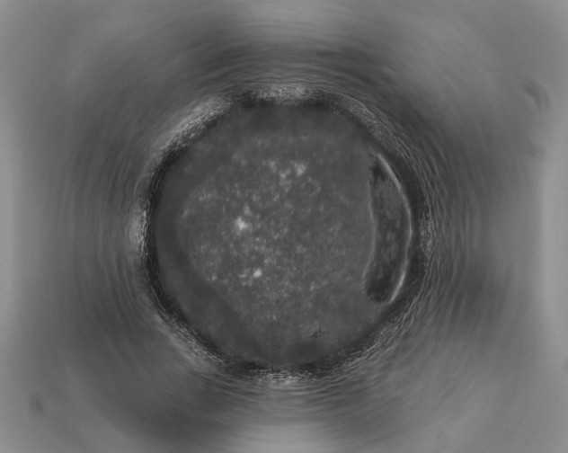X0000113270735200909241542