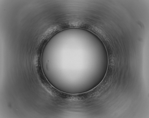 X0000113270738200909241543