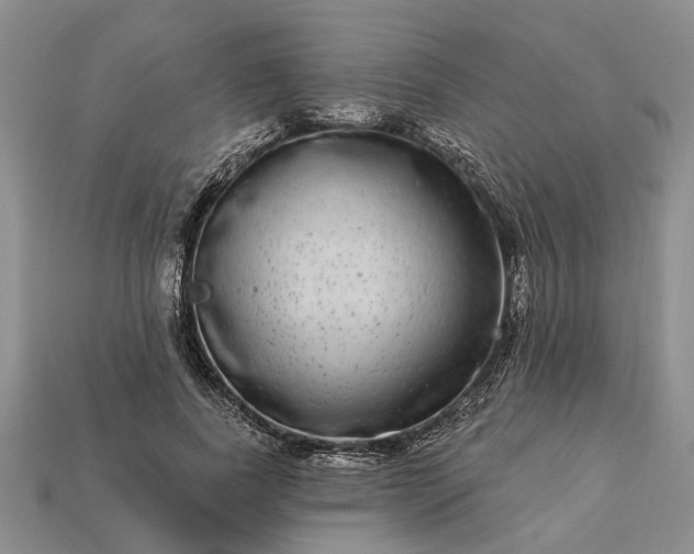 X0000113270739200909241543