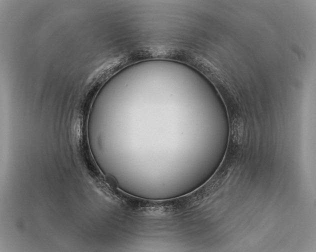 X0000113270740200909241543
