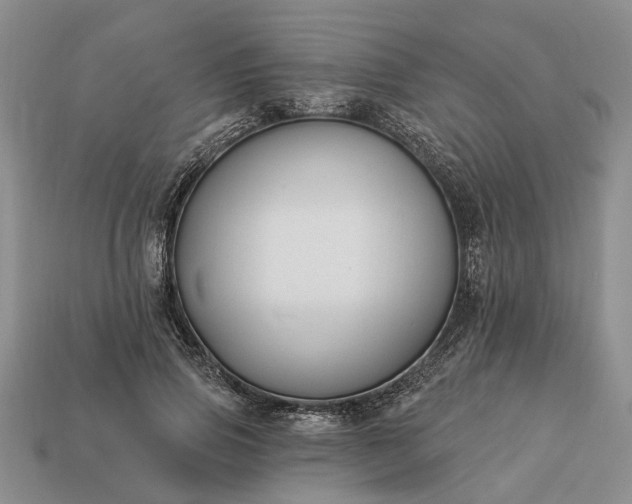 X0000113270741200909241543