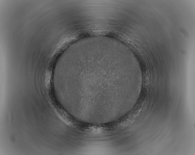 X0000113270742200909241543