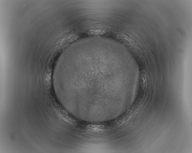 X0000113270745200909241543