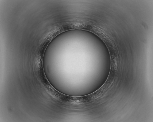 X0000113270746200909241543