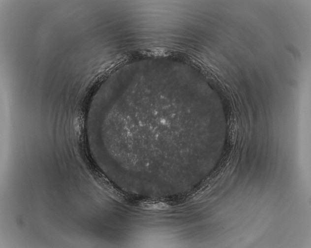 X0000113270747200909241543
