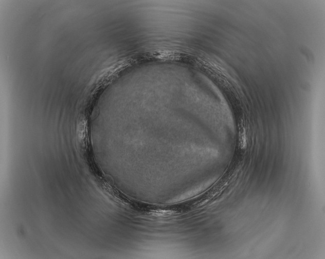 X0000113270748200909241543