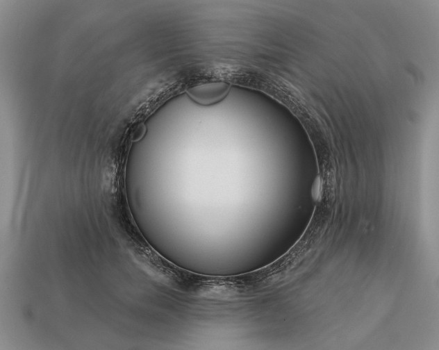 X0000113270750200909241543