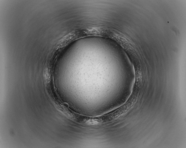 X0000113270751200909241543