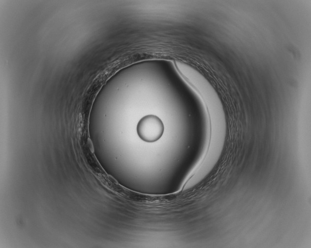 X0000113270752200909241543
