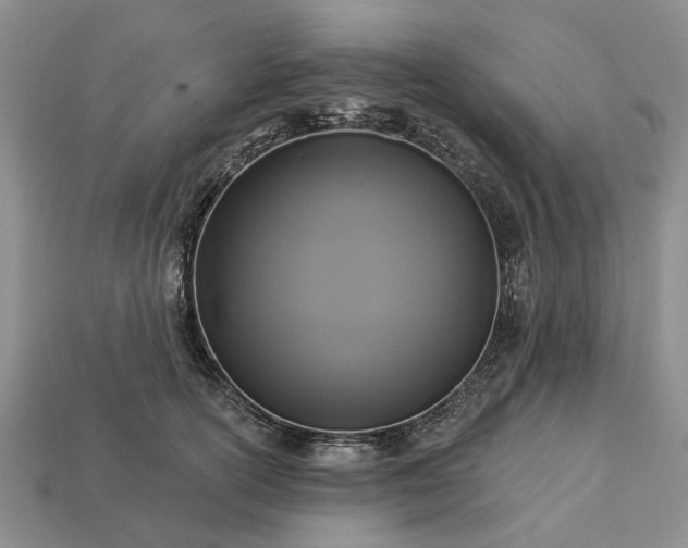X0000113270754200909241543