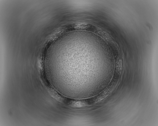 X0000113270755200909241543
