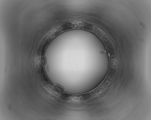 X0000113270756200909241543