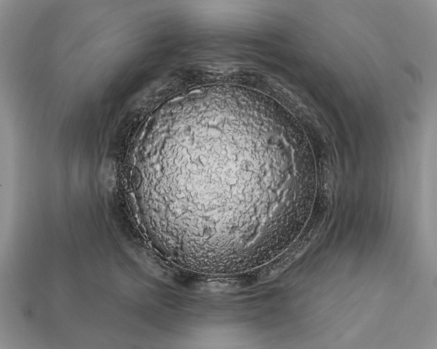 X0000113270758200909241543