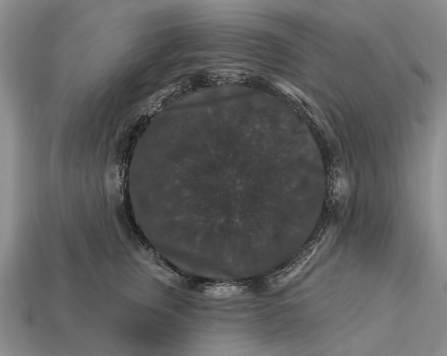 X0000113270759200909241543