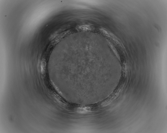 X0000113270760200909241543
