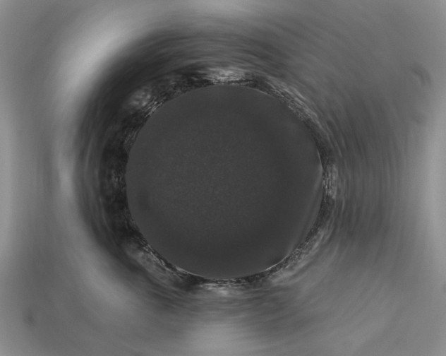 X0000113270763200909241543