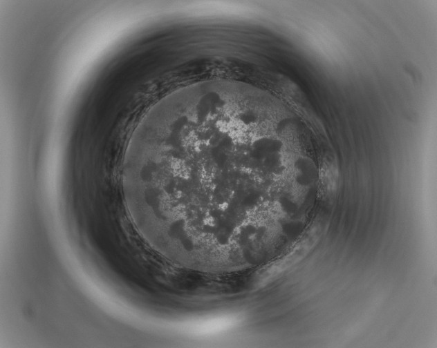 X0000113270765200909241543