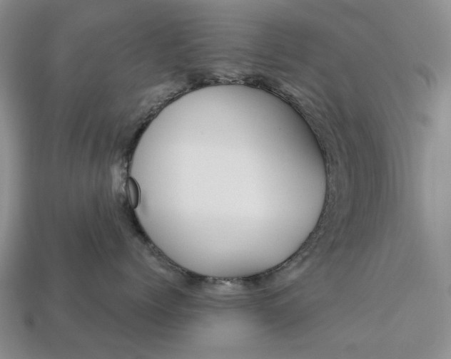 X0000113270768200909241543
