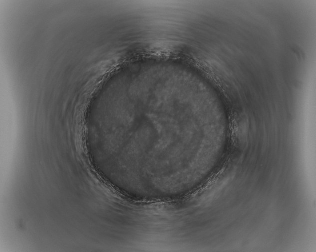 X0000113270769200909241542