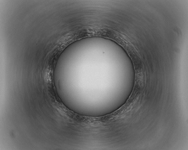 X0000113270770200909241542