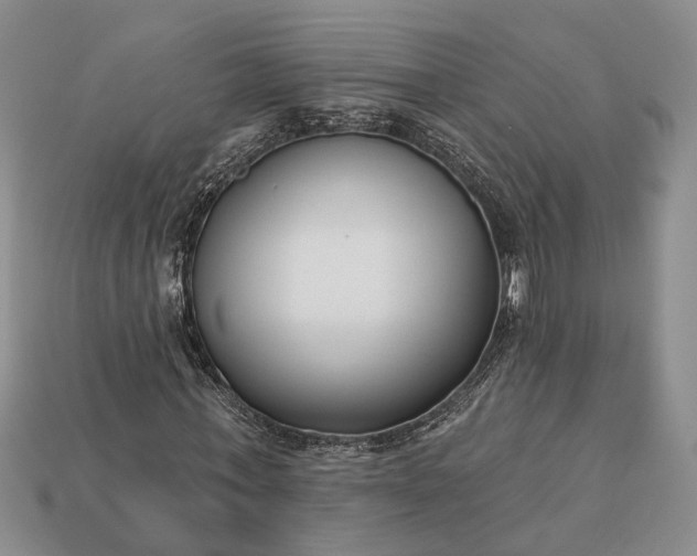 X0000113270771200909241542