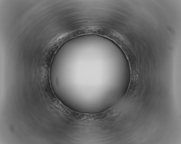 X0000113270773200909241542