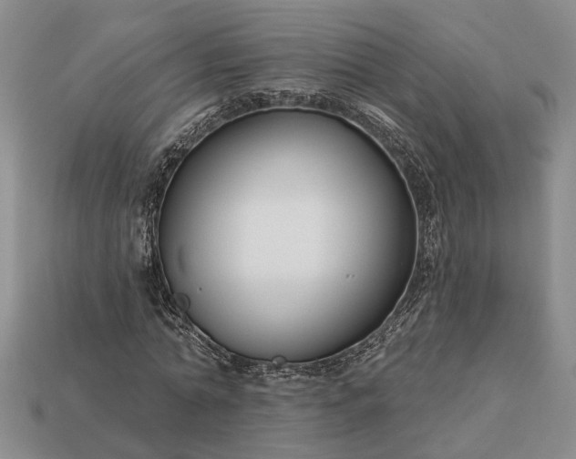 X0000113270774200909241542