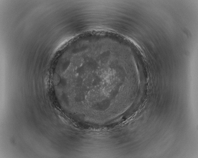 X0000113270775200909241542