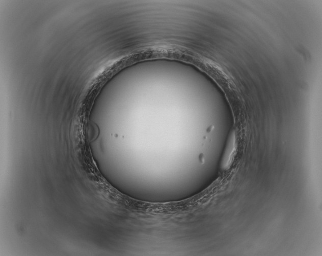X0000113270776200909241542