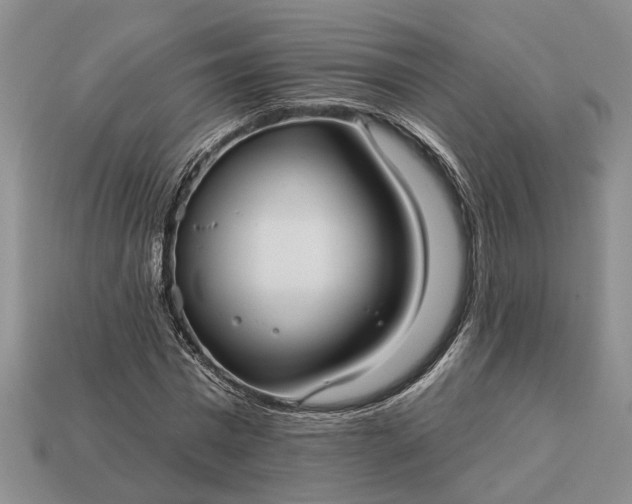 X0000113270777200909241542
