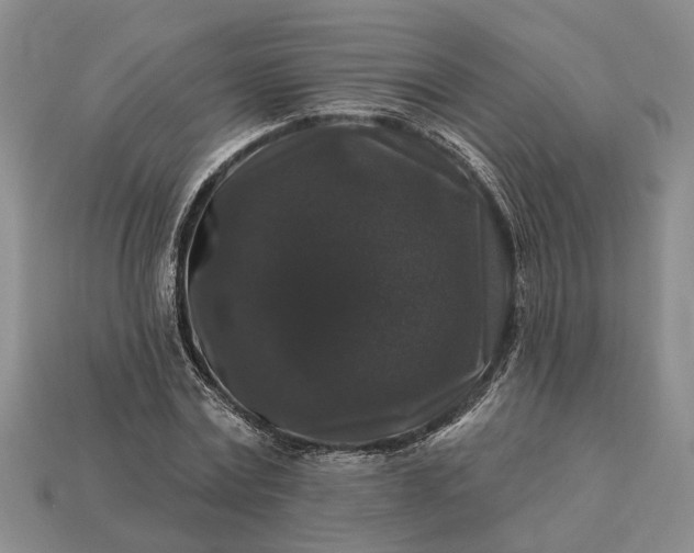 X0000113270779200909241542