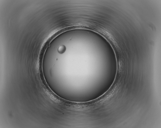 X0000113270780200909241542